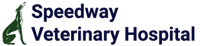 speedway logo-01